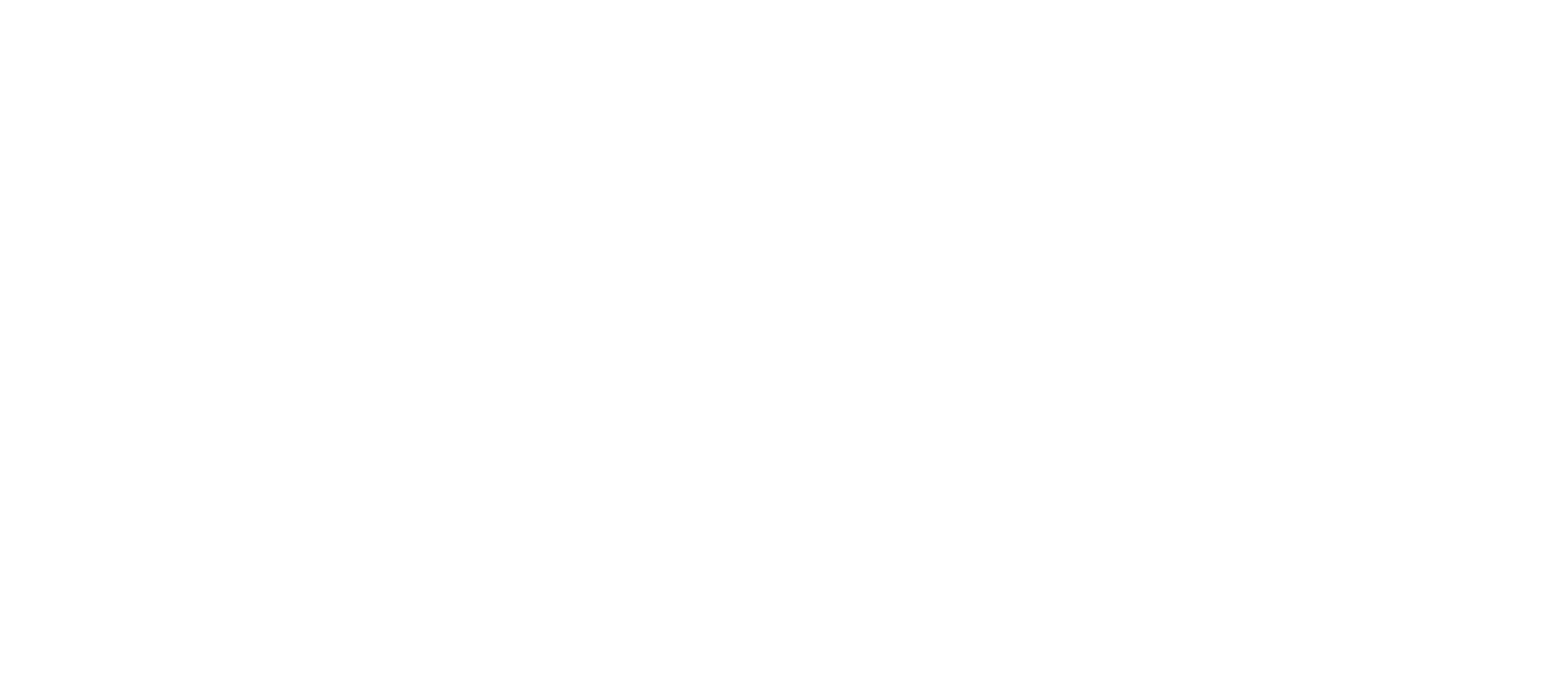 Alzu_Web-02